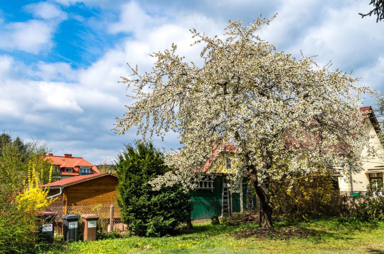 Gemütliches, heimeliges Ferienhaus Gars am Kamp Exterior foto